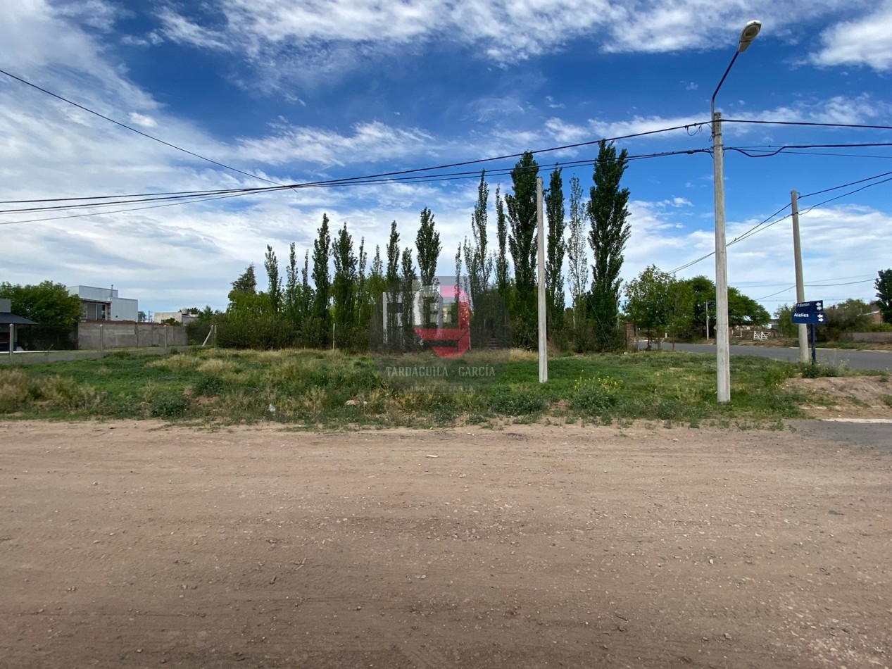 Terreno en venta