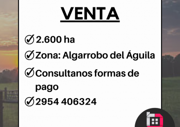 Campo en venta